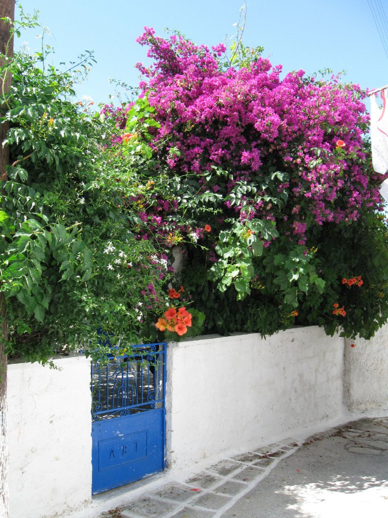 DS 5-Damarionas-100_0187-768x1024